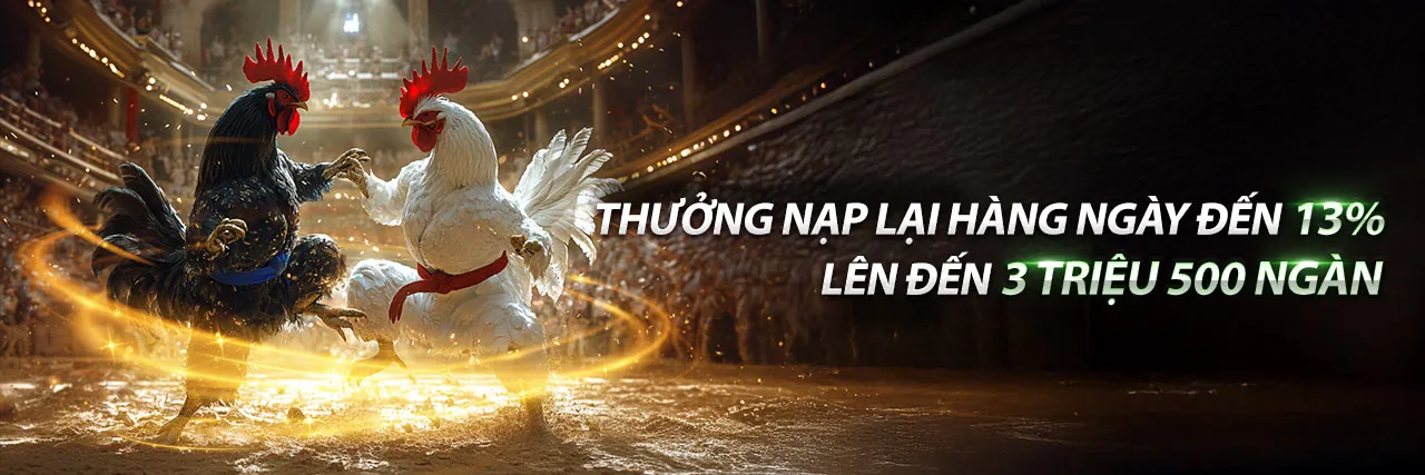 Hình ảnh đá gà trực tiếp 88 tại 05kp88